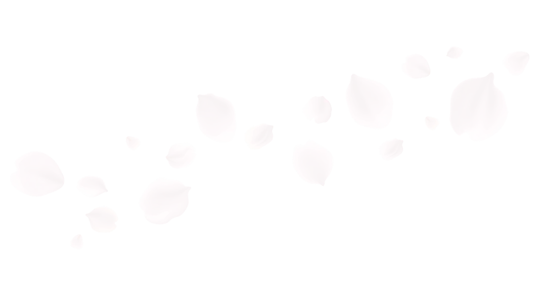 bg1